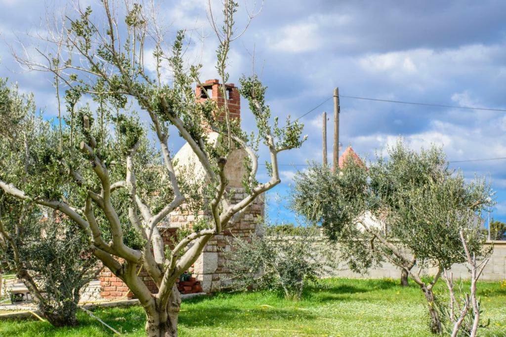 Apartman Space Ražanac Buitenkant foto